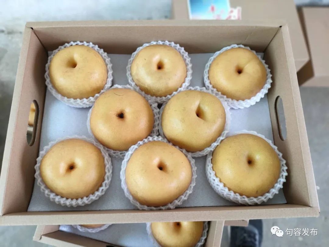 脆甜又多汁,句容"金奖"梨火爆上市!一口爱上