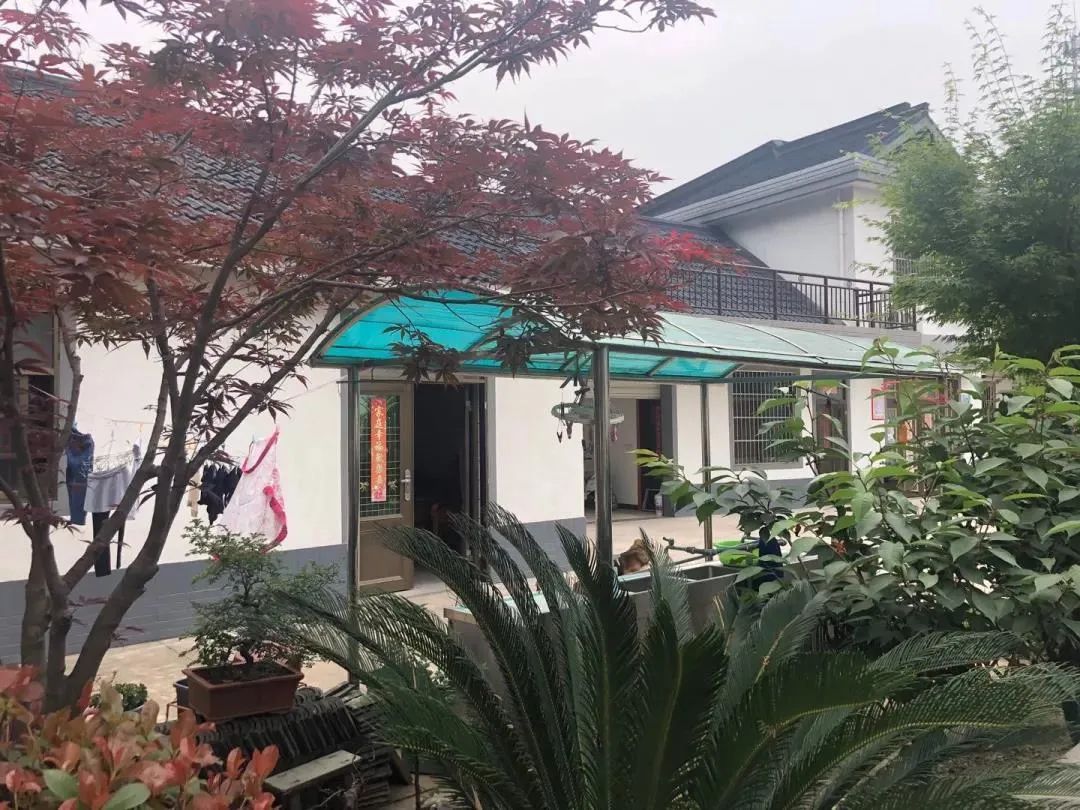 崇明岛农家乐 崇明二日游农家乐价格-春风号,忽如一夜春风来千树万树