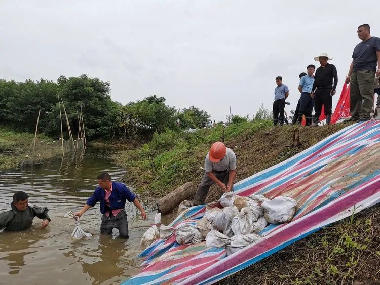 防汛抗灾：黄梅县各地各单位全力防汛救灾十三