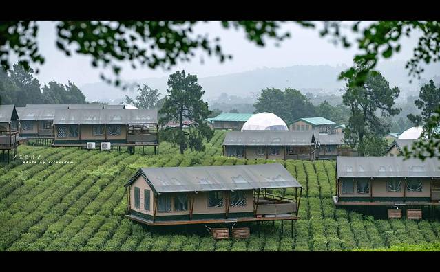 江苏避暑地，茅山宝盛园：睡在竹海，漂进丛林，清凉一夏