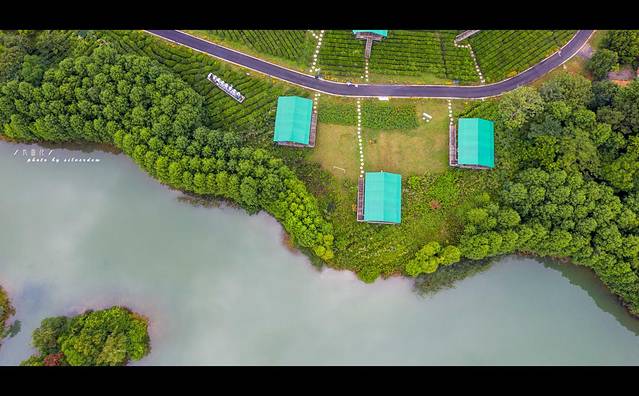 江苏避暑地，茅山宝盛园：睡在竹海，漂进丛林，清凉一夏