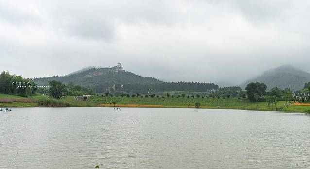 江苏避暑地，茅山宝盛园：睡在竹海，漂进丛林，清凉一夏