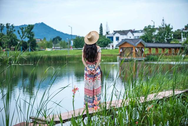 江苏避暑地，茅山宝盛园：睡在竹海，漂进丛林，清凉一夏