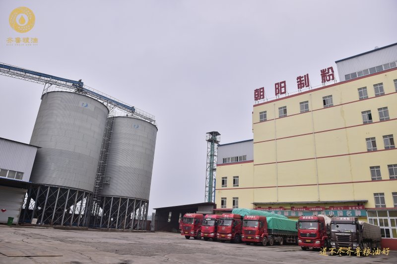 粮食批发基地在哪里