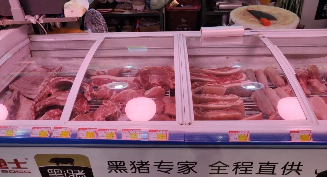惠南今日猪肉价格（河南猪肉价格今日价）