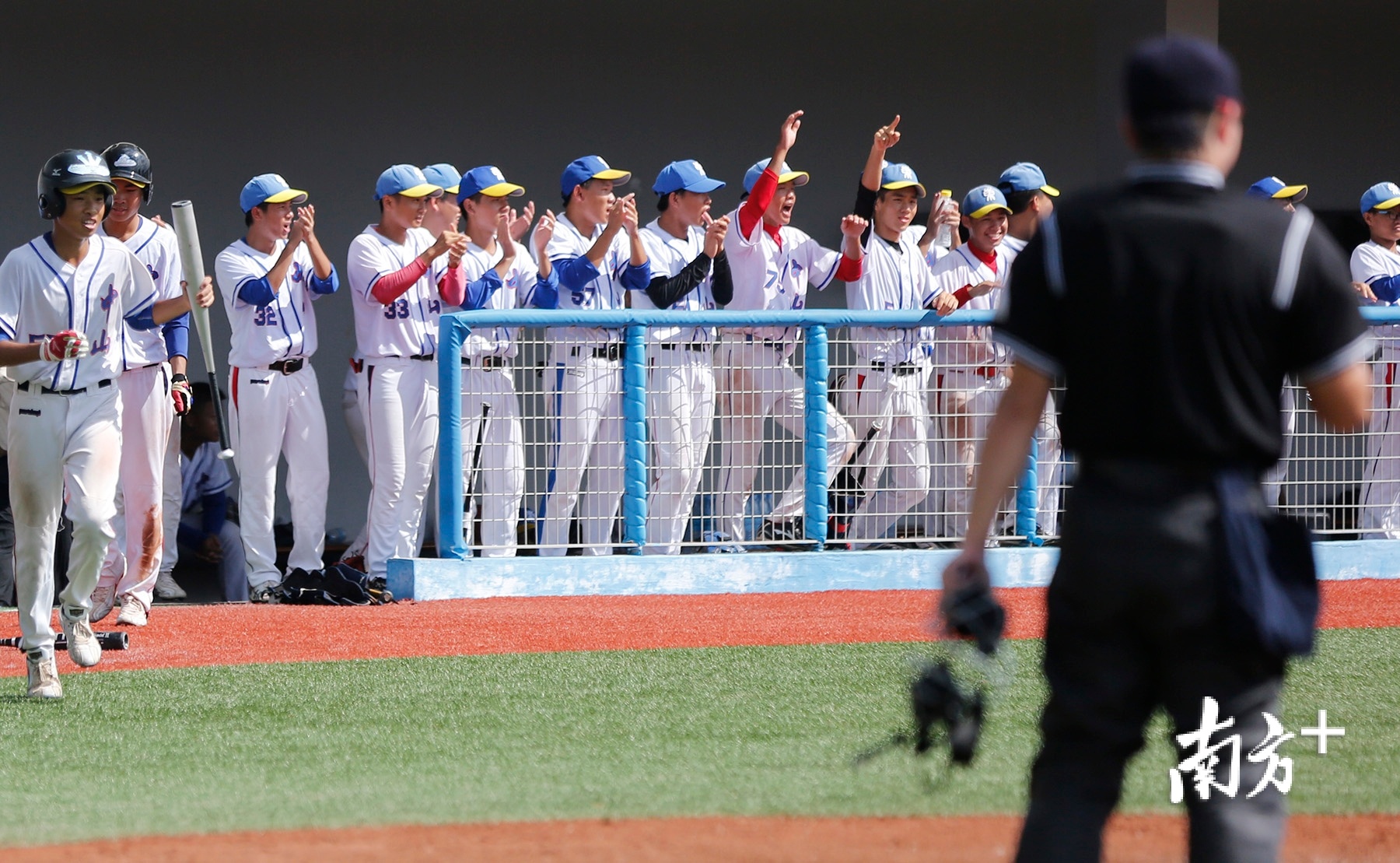 棒球赛事恢复，省“熊猫杯”青少年棒球锦标赛在中山东升开赛