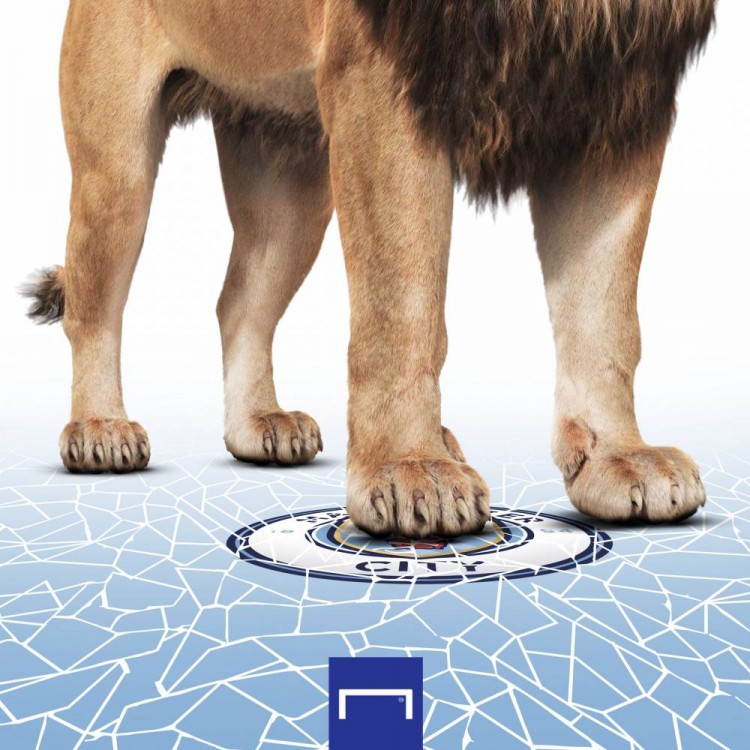 拜仁里昂欧冠半决赛（复仇战！里昂杀入欧冠半决赛，时隔十年再战拜仁）-趣拿体育