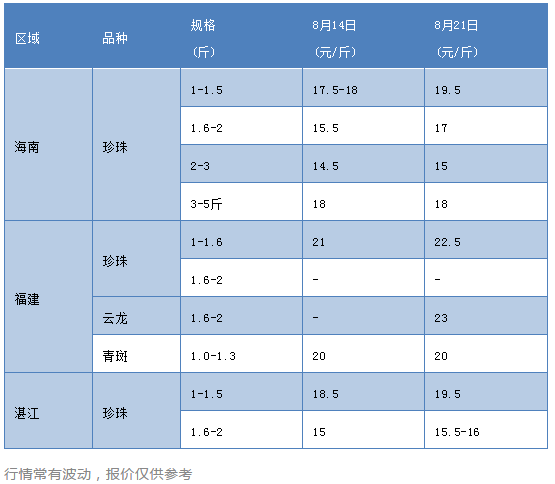 石斑鱼多少钱1斤（石斑鱼多少钱一斤呀）