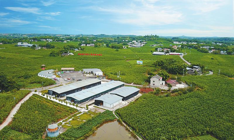 广安市武胜县：一个农业大县的精彩嬗变