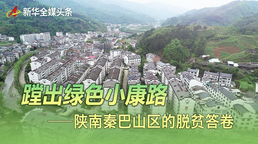 走向我们的小康生活丨蹚出绿色小康路——陕南秦巴山区的脱贫答卷