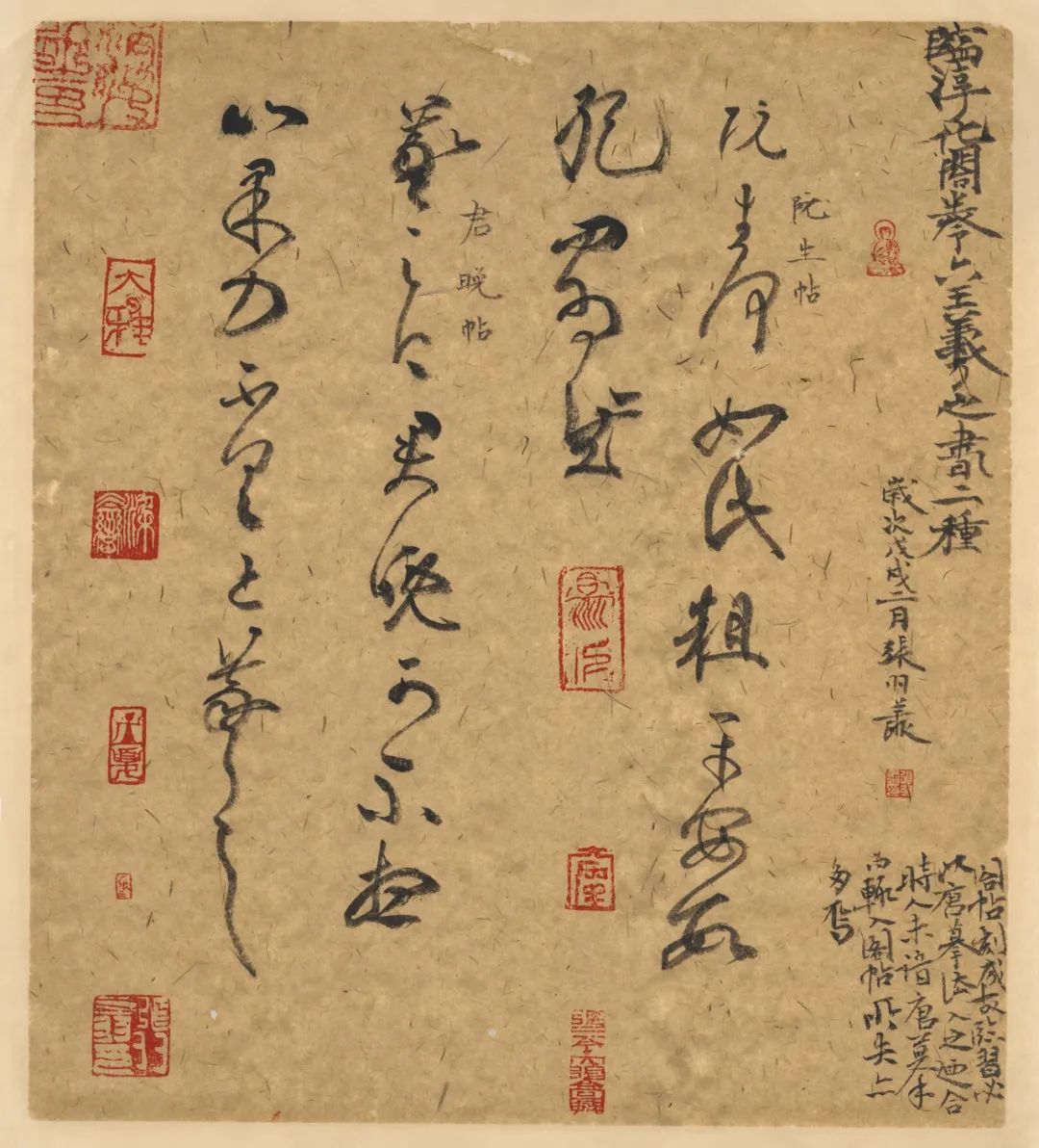 张羽翔：“退隐”书法江湖16年，他把晋唐法帖临了个遍