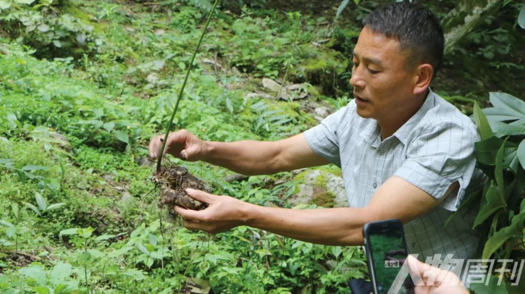 那些在农村开直播的人