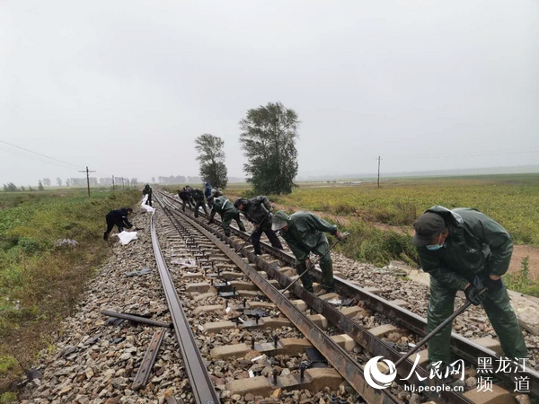 黑龙江省铁路集团嫩江公司对嫩黑线换轨大修 整治线路病害保运行安全