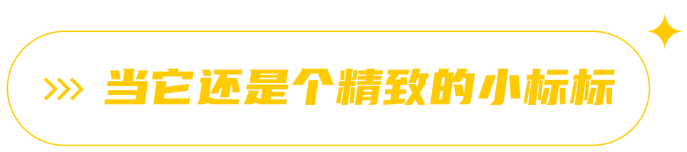 goretex(GORE-TEX 这个 Logo 是不是越「大」越好？)