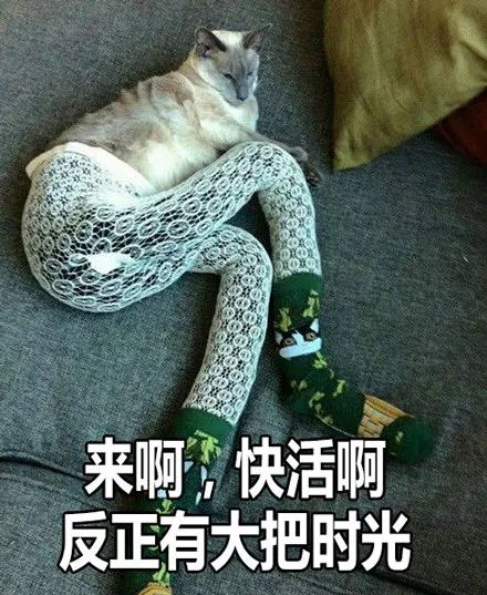 巴(ba)黎世家什么梗-第37张图片-大连信息网