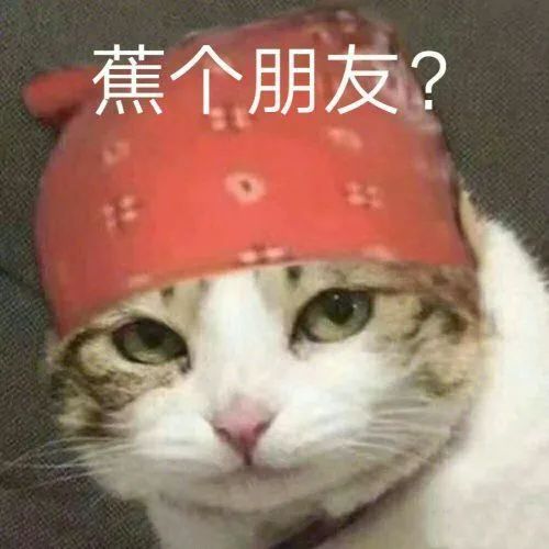 巴黎世家什(shi)么梗-第41张图片-大连(lian)信息网
