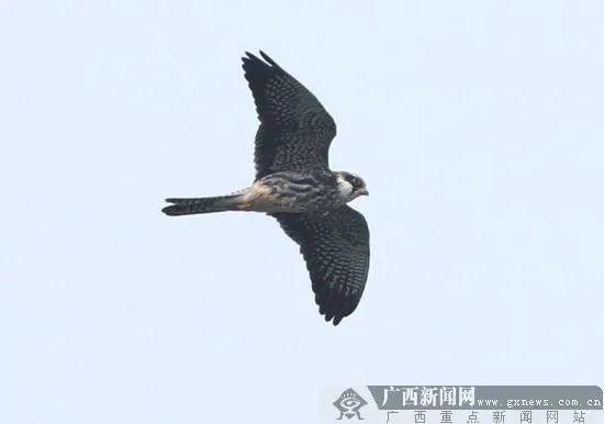 超浪漫!广西各大海滩合集,不去太可惜了