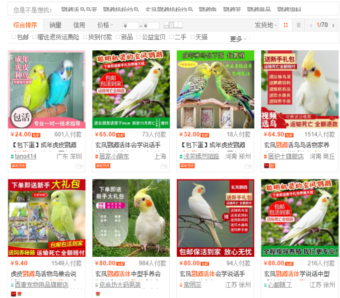志愿者从快递盒中救出1069只小动物：网购活体动物，多家快递公司默许邮寄，但不“保活”