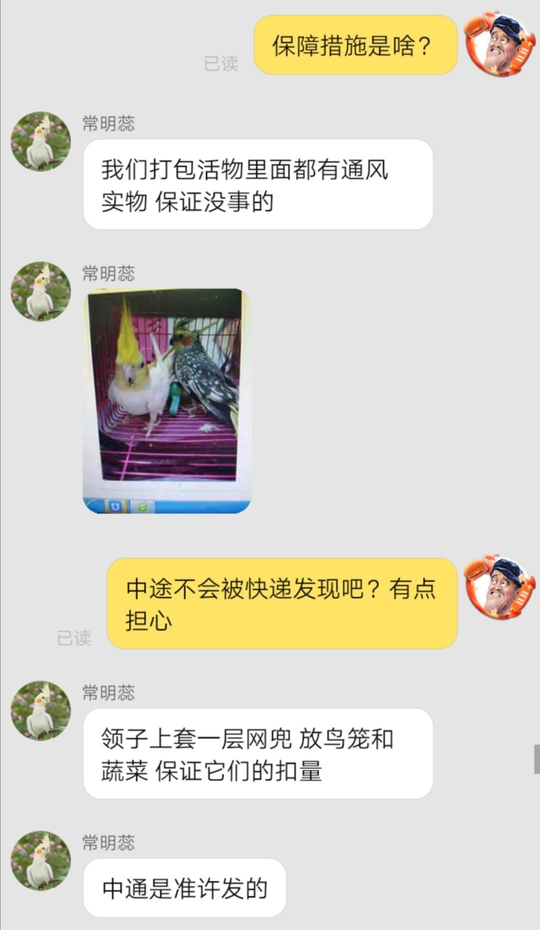 志愿者从快递盒中救出1069只小动物：网购活体动物，多家快递公司默许邮寄，但不“保活”