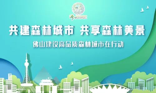 指压板挑战、3圈环山徒步越野…这群年轻人“闯”出三龙湾南海片区新活力