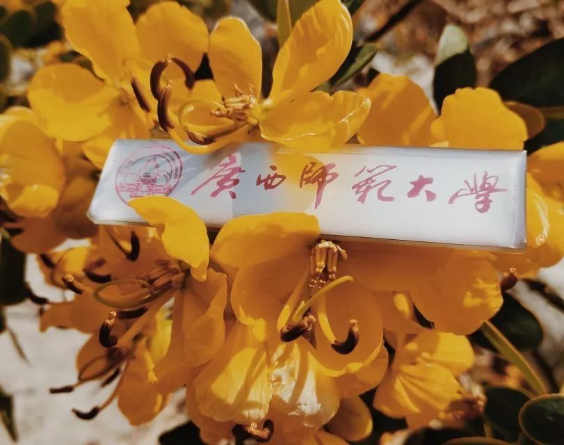 广西师范大学，有点牛