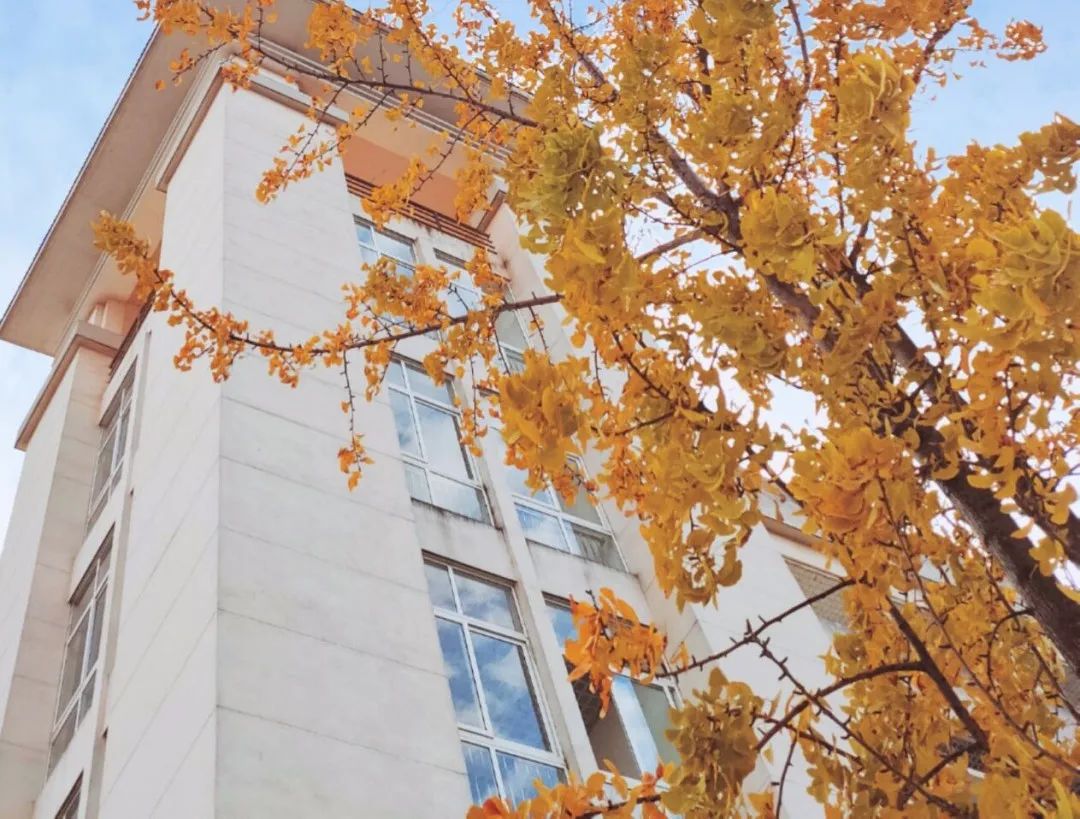 广西师范大学，有点牛