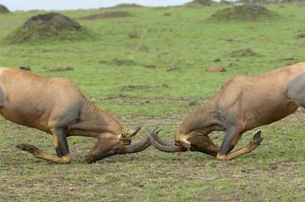 将爱情进行到底电影 爱情进行到底电影版-春风号