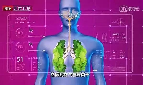 看耳型，识疾病，5种情况是疾病信号！用好这张“保健图”，降压、健脑、补肾精……别错过