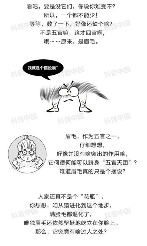 居“五官”之首的眉毛，究竟有啥用？