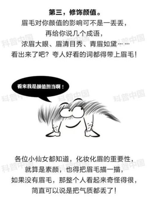 居“五官”之首的眉毛，究竟有啥用？