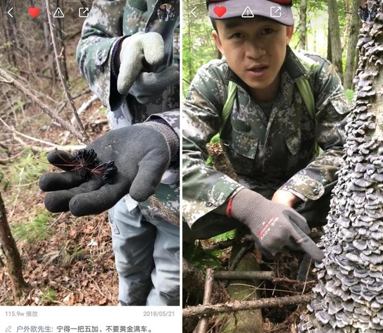 粗放賣家、硬核通貨！山東這個村全村直播賣拖拉機