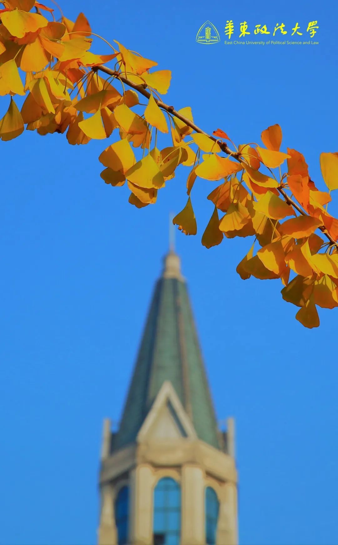 复旦大学壁纸「复旦大学壁纸 锁屏」