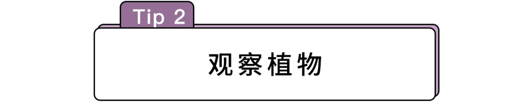 辨别方向的方法还有哪些（路痴分清东南西北的N种大招）