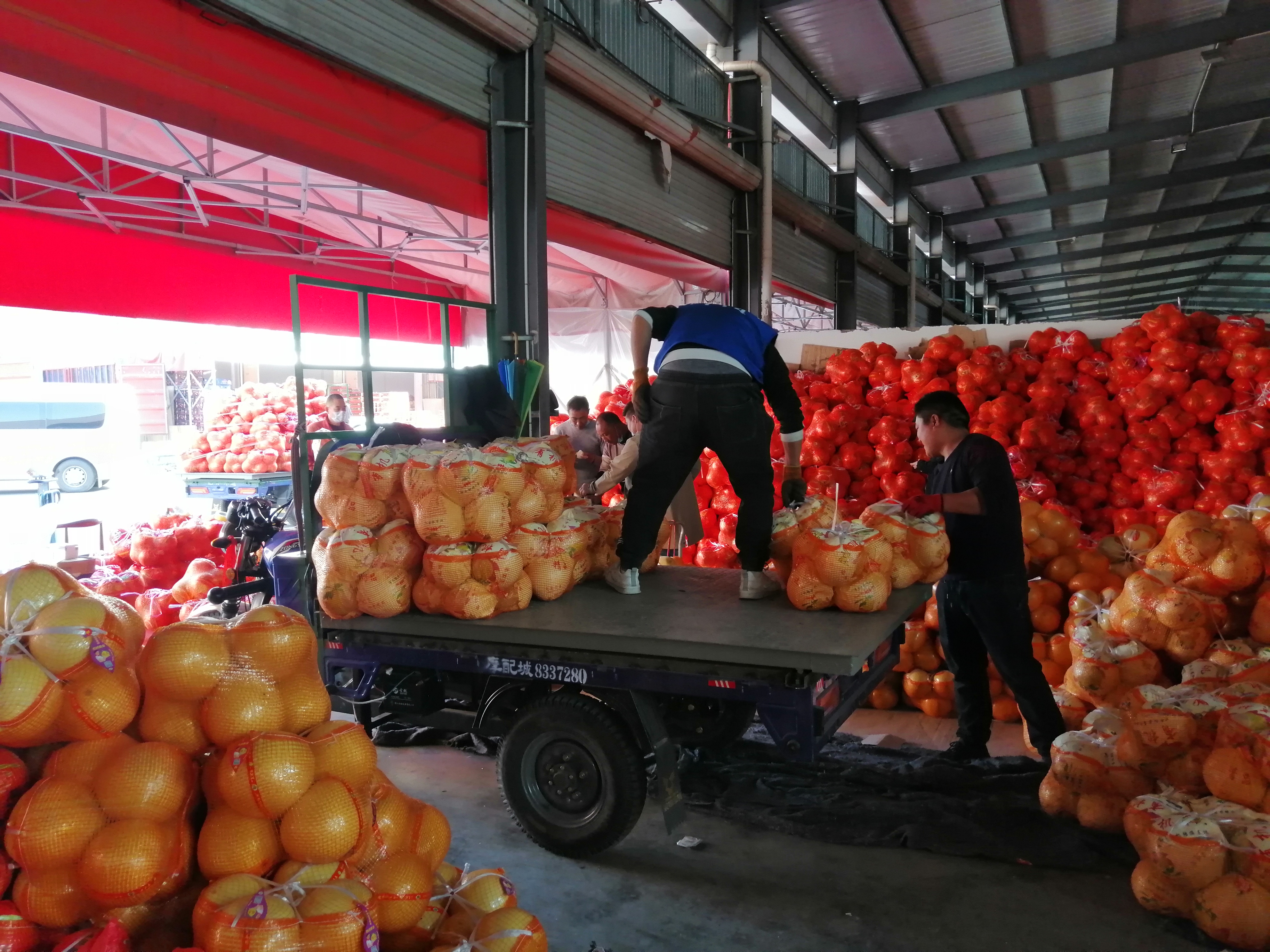 记者调查｜水果上市量增加 临沂部分果品价格回落