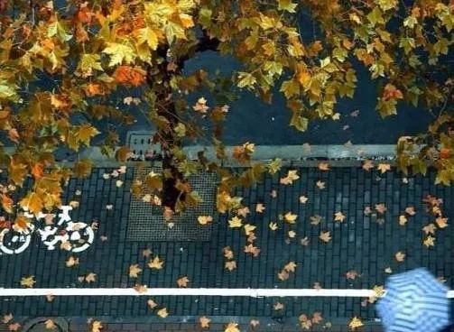 留住秋韵，这拨操作让人极度舒适→