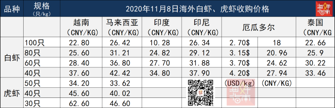 今日印度虾价行情（今日大龙虾价行情价格表）