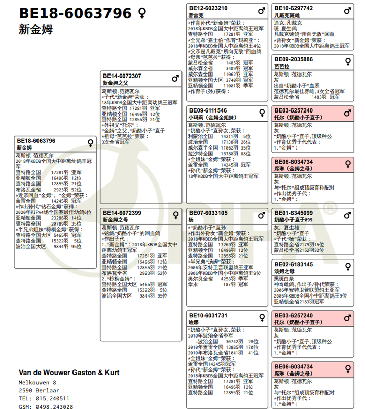 信鸽世界杯环号查鸽主(1250万买一只赛鸽，是人傻钱多吗？“赛鸽圈”不得不说的秘密)