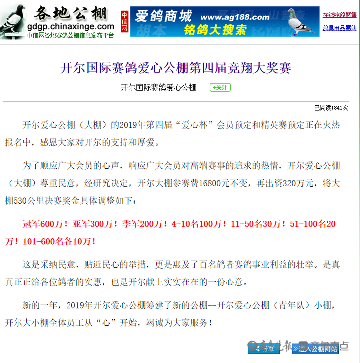 信鸽世界杯环号查鸽主(1250万买一只赛鸽，是人傻钱多吗？“赛鸽圈”不得不说的秘密)