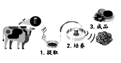 期中考试刚过，这些科学题，大家一起来挑战一下吧