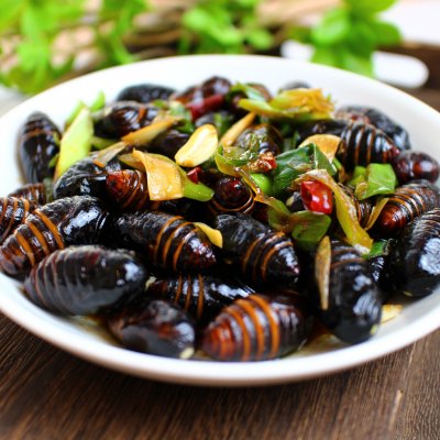 蚕怎么炒炒蚕豆的做法大全