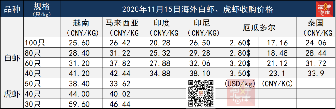 今日印度虾价行情（今日大龙虾价行情价格表）