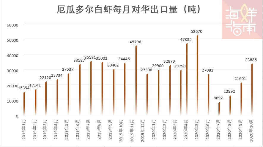 今日印度虾价行情（今日大龙虾价行情价格表）