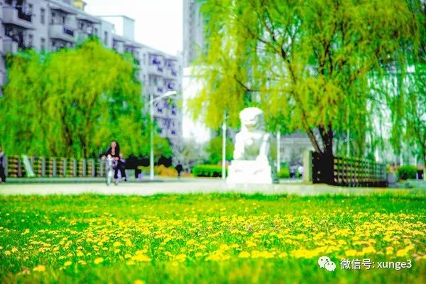 燕山大学校园网（举一省之力）