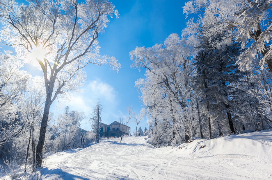 哈尔滨哪里滑雪比较好(国内最佳滑雪目的地，这个冬天Pick哪一个？)