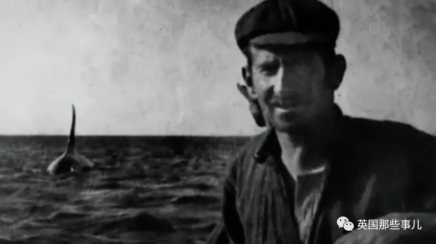 一百年前人类和虎鲸合作捕猎，形成自然契约。然而人类反悔了