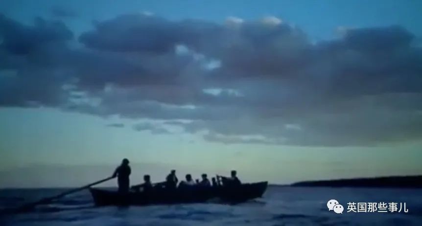 一百年前人类和虎鲸合作捕猎，形成自然契约。然而人类反悔了