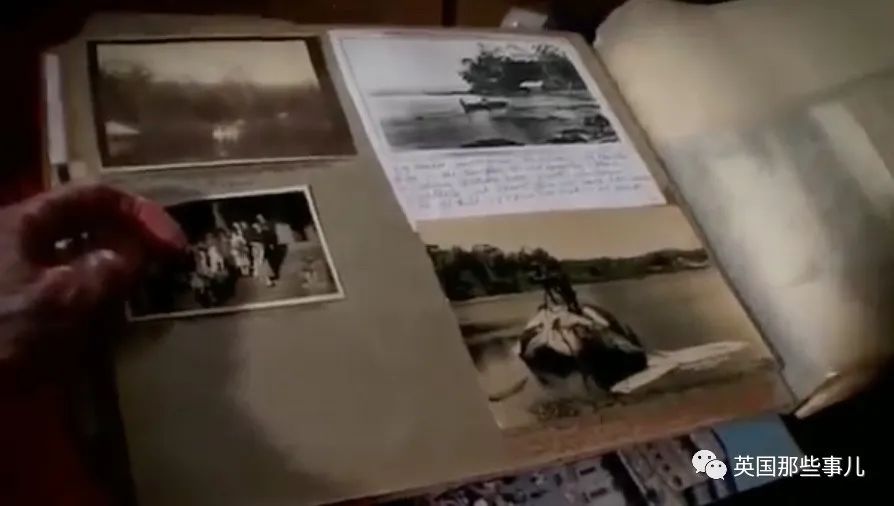 一百年前人类和虎鲸合作捕猎，形成自然契约。然而人类反悔了