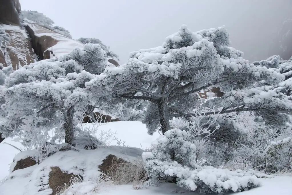 雨雪霏霏与《诗经·小雅·采薇》（雨雪霏霏的意思）