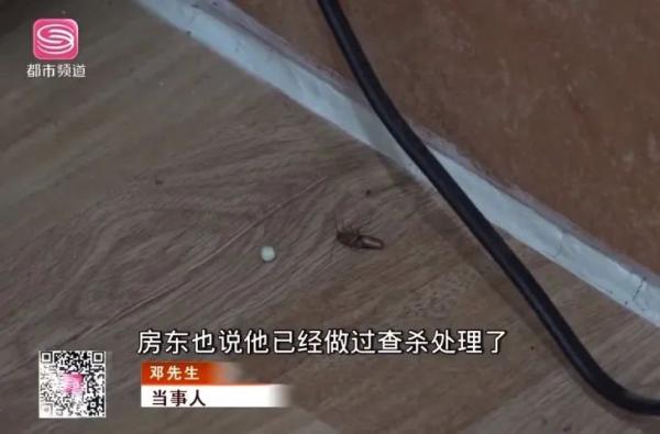 男子睡觉时遭蟑螂入耳，耳膜被咬穿听力下降，更恐怖的是蟑螂有个不为人知的偏好……