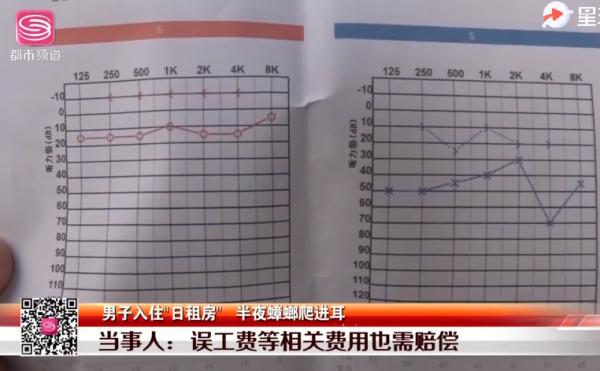 男子睡觉时遭蟑螂入耳，耳膜被咬穿听力下降，更恐怖的是蟑螂有个不为人知的偏好……